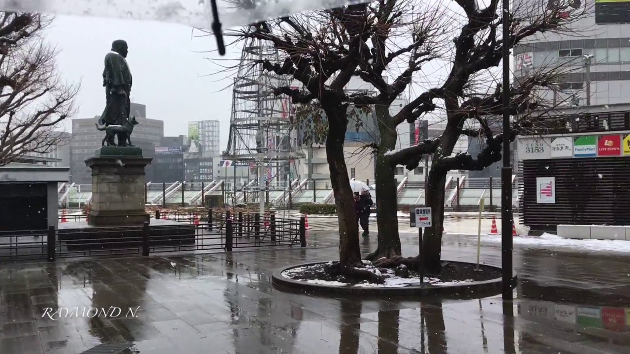 Visit Japan Amazing Snow in Ueno Park Virtual Walk