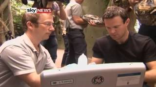 Europe's Largest Snake Has An Ultrasound