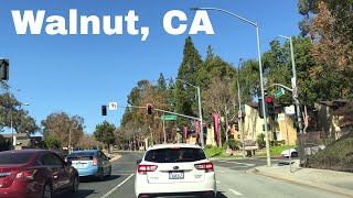 Walnut California Realtor Driving Tour 4K