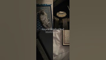 تلاوه هادئه تريح سمعك وقلبك وتغذي روحك من سورة الملك | عثمان الحداد