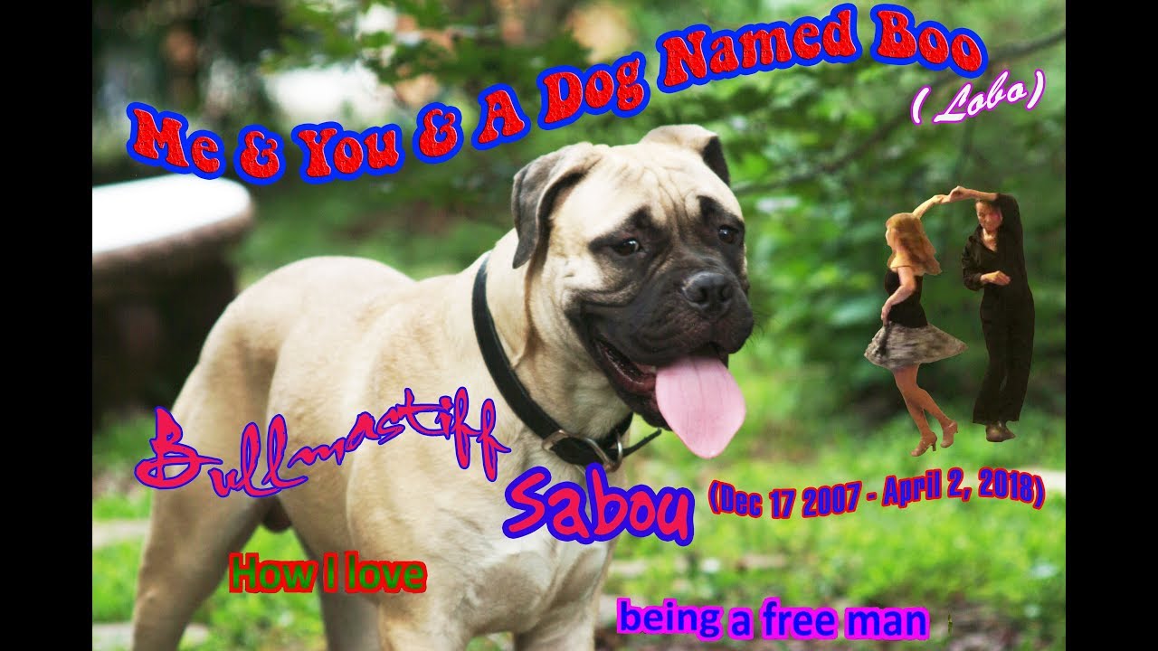 Lobo Me And You And A Dog Named Boo Karaoke Lobo Me And You And A Dog Named Boo Karaoke