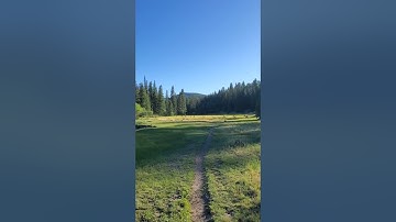 Out Exploring #nature