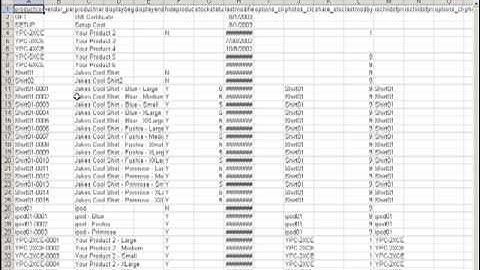 Volusion Experts Importing- The Data Fields Video