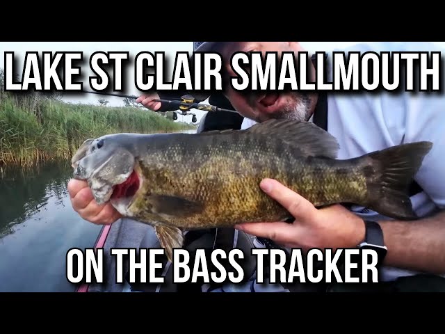 Bass Fishing on Lake St Clair: Ultimate Guide for Trophy Catches
