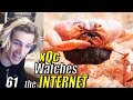 xQc Reacts to "Daily Dose of Internet" with Chat | GO AGANE! | Episode 61