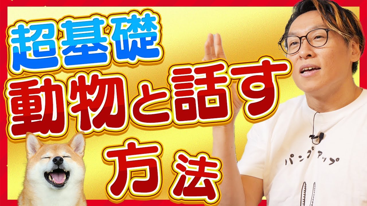 基本】これが動物と話す方法！ - YouTube