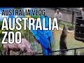 Getting to Know Australian Wildlife | A Day at Australia Zoo | Brisbane