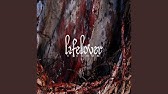 Lifelover Horans Hora Youtube Lifelover Horans Hora Youtube