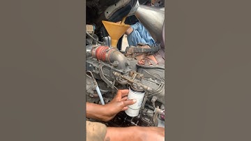 Coolant Diesel filter change #asmr #diy