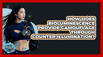 How Does Bioluminescence Provide Camouflage Through Counter-illumination? - The Marine Life Explorer