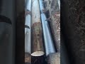 wood peeling machine process  #shorts #viralshorts #woodworking #fyp