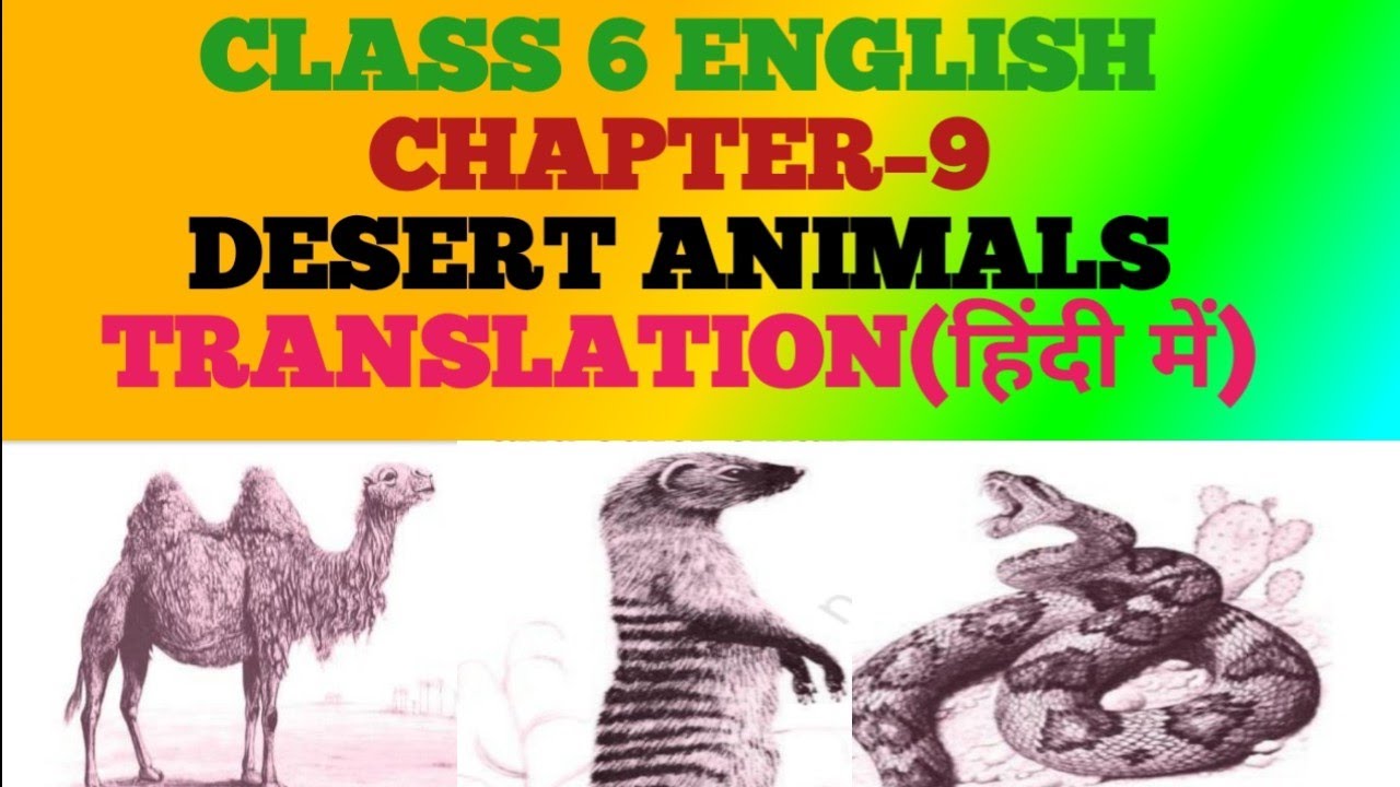 class 6 English chapter 9 desert animals translation in hindi|desert animals  class 6 english ncert - YouTube