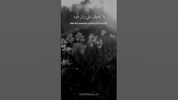 سورة البقرة || آية 255 || صفحة 42 بصوت إسلام صبحي