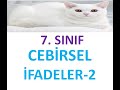 7. SINIF CEBİRSEL İFADELER-2