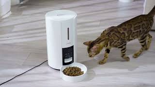 WOPET Castle Automatic Pet Feeder * FT70 & FT70 Plus