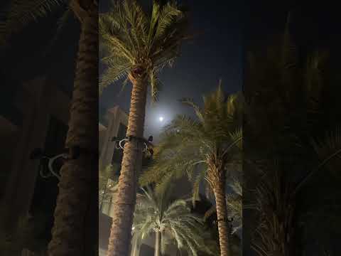 #bollywood #dubai #lifeisbutadream #viralvideo #motivation #shorts #viral #support #subscribe #moon