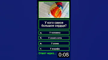 У кого самое большое сердце?