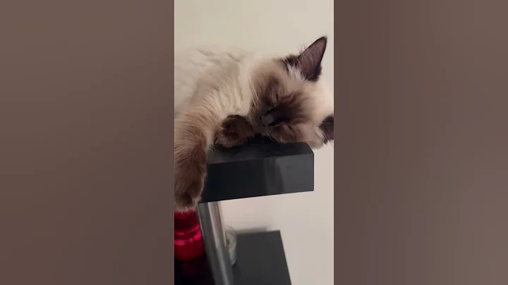 Watch the video about Who doesn’t want to sleep like this?🥰🥰🥰cute