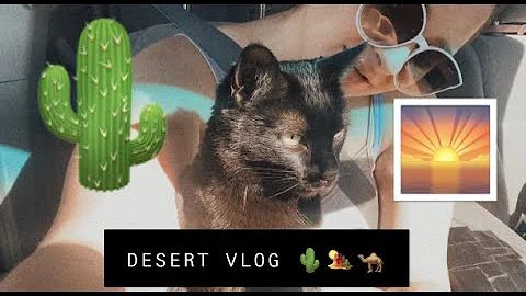 First New Mexico Vlog