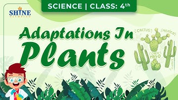 Adaptation in Plants: How Plants Change to Survive | Science Class 4