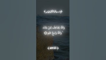 سوره البقره الايه 261 و262 بصوت الشيخ #ياسر_الدوسري #قران_كريم #راحة_نفسية