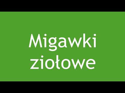 Wideo: Lecznicze Właściwości Rdestu Lub Rdestu