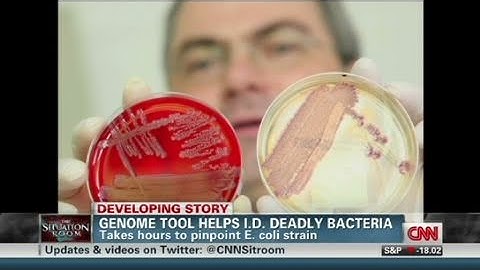 CNN: Genome tool pinpoints new E. Coli strain