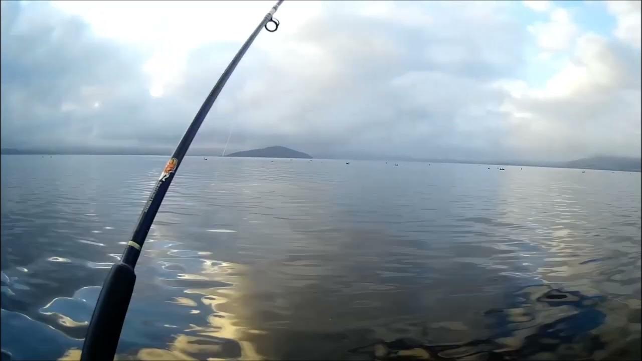 NEW ZEALAND TROUT FISHING GOLLY GOSH 17 YouTube