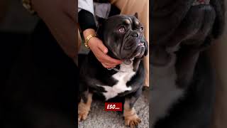 Inauguración del Centro de Bienestar Animal en Atlacomulco- Estado de México