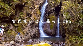 渓流釣りと山ごはん|西伊豆町~松崎町【田舎暮らし】Mountain Stream Fishing and Outdoor Cooking【Countryside Life】