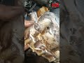 How To Repair A Broken Oil Seal On A Motorcycle And How To Determine The Cause Of The Breakage 