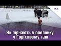 Як пірнають в ополонку у Горіховому гаю. Стрім наживо