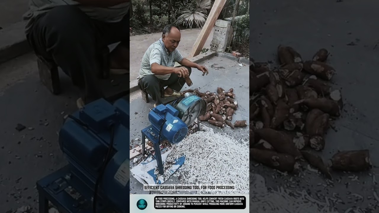 Efficient Cassava Shredding Tool for Food Processing #tools