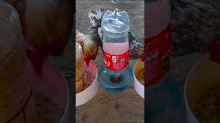 how to make homemade chicken feeders #chickenfeeder #chickendrinker