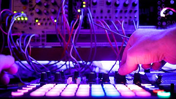 Pamela’s New Workout and Basimilus / Plaits and Mono Station - Perpendicular - A jam from my view