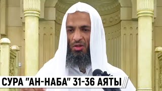 Сура "ан-Наба" 31-36 аяты / Шейх Халид Исмаиль