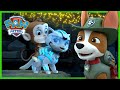 PAW Patrol Jungle Rescues with the Cat Pack and more! | PAW Patrol | Cartoons for Kids Compilation