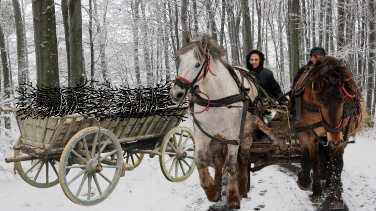 MRÓZ ‐ tekst Julian Tuwim