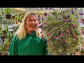 I went to the 34th annual southern california spring garden show