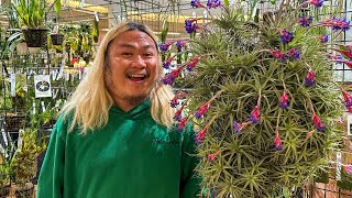 I Went to the 34th Annual Southern California Spring Garden Show