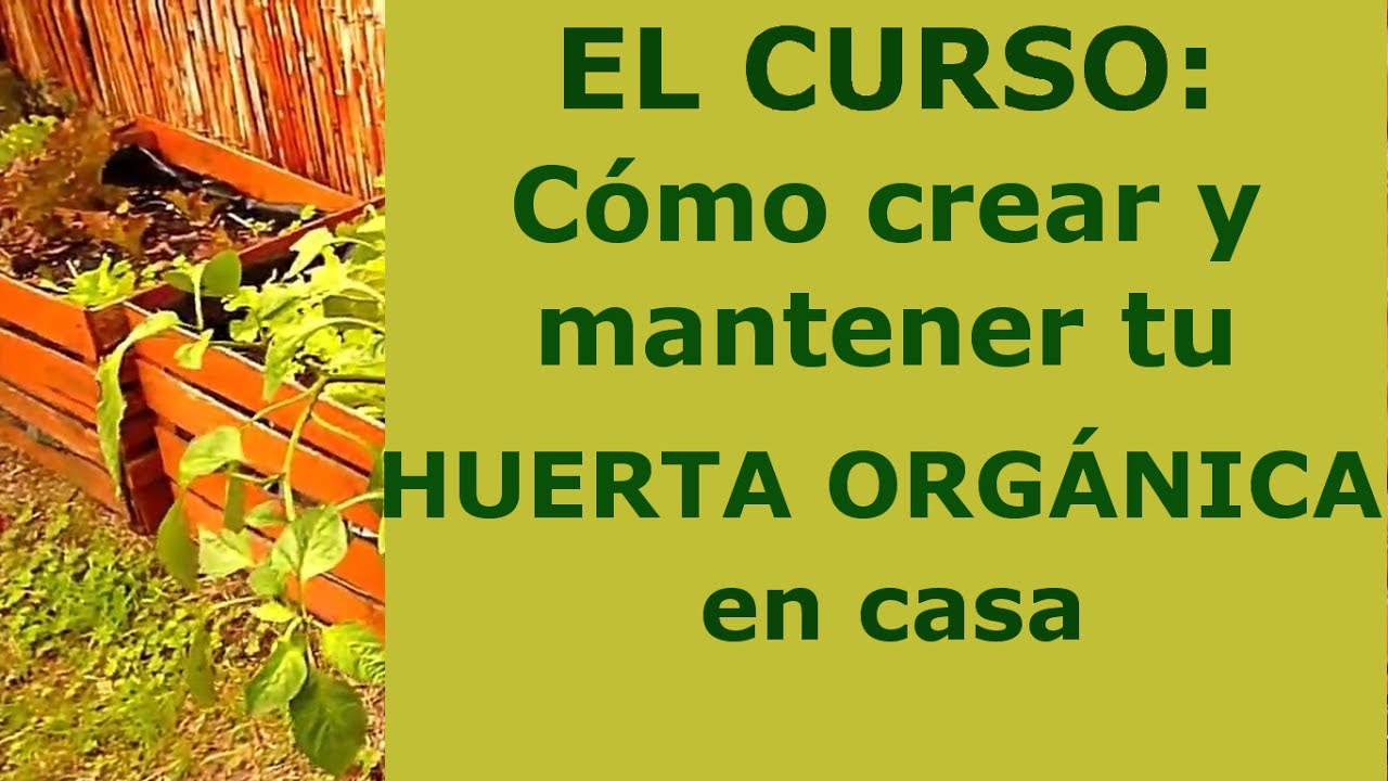 manzana Pedir prestado hipótesis Tu Huerta Organica en Casa - CURSO ONLINE - YouTube