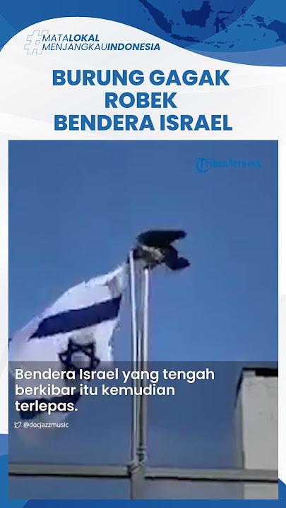 Heboh Video Viral Burung Gagak Berusaha Patuk dan Robek Bendera Israel yang Berkibar hingga Lepas