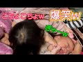 お姉ちゃんのこちょこちょで爆笑する赤ちゃん