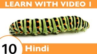 ⁣Learn Hindi with Video - Oh, What a Tangled Web We Weave, When We Teach Hindi Insect Vocabulary!