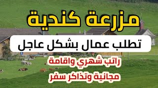 مزرعة كندية تطلب عمال بشكل عاجل 🔴 راتب شهري واقامة مجانية وتذاكر سفر🔴