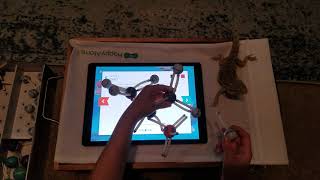 Atoms and Molecules screenshot 4