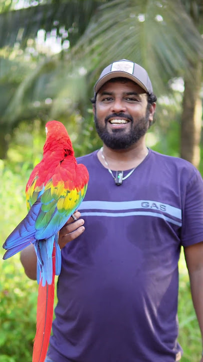 I NEVER Send Birds in Cages – Here’s the Shocking Reason | #ShaikhTanveer #ExoticPets