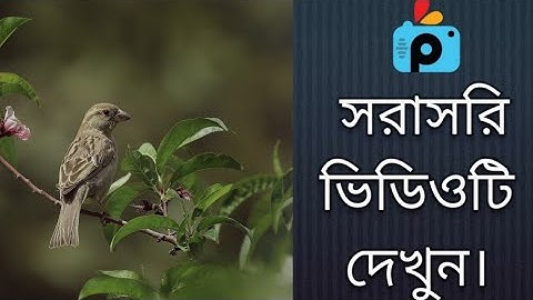 1Minute Photo Edit | Snapseed Photo Editing Tutorial Step by Step GO Tech #192