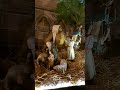 Страсбург, Франция #страсбург #франция