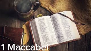 Italian Bibbia   1 Maccabei  Traduzione Interconfessionale In Lingua Corrente icl00d